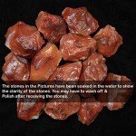 ZAICUS Carnelian Raw Gemstones, Rough Crystals and Stones for Tumbling Bulk, Jewelry Making, Polishing, Cabbing, Lapidary, Fountain Rocks, Decoration, Wire Wrapping, Gem Mining, Reiki Healing 1 lb