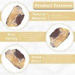 ZAICUS Jasper Family Rough Crystals Bulk, Raw Stones for Jewelry Making, Tumbling Bulk, Polishing, Cabbing, Lapidary, Fountain Rocks, Decoration, Wire Wrapping, Gem Mining, Reiki Healing 1 lb