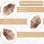 ZAICUS Polychrome Jasper Rough Stones for Tumbling, Raw Stones, Jewelry Making, Polishing, Cabbing, Lapidary, Fountain Rocks, Decoration, Wire Wrapping, Gem Mining, Reiki Healing 1 lb