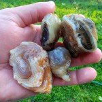 Natural Stones 1 Lbs Tumbling Rough Raw Materials for Cabbing Tumbling Trimming Crystals Reiki Healing Lapidary (Botswana Agate with Skin, Banded Mix)
