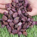 Rough Ruby Crystal 100 Ct Natural Healing Gems Set of 10 Pcs Raw Gemstone Beads for Cabbing, Lapidary, Tumbling, Wire Wrapping, Reiki and Wicca