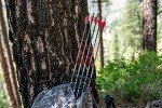 Carbon Express Maxima Triad XSD 350 6 PK Shafts, Fletched,Multi,One Size,51111