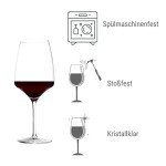 Stolzle Experience Bordeaux Wine Glasses, Set of 6