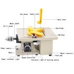 DZQ Mini Table Saw Jewelry Making Polisher w/Flex Shaft Multifunctional Bench Grinder Sander Buffing Machine Woodworking Tool 69Pcs Accs 10,000Rpm 750W