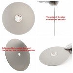 JINGLING 8" Inch Diamond Grinding Disc 2000 Grit Flat Lap Disk Lapping Plate Sanding Pads Lapidary Tools for Stone Pottery Faceting Machine