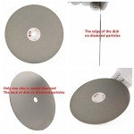 JINGLING 8" Inch Diamond Grinding Disc 150 Grit Flat Lap Disk Lapping Plate Sanding Pads Lapidary Tools for Stone Pottery Faceting Machine