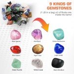 VIYUKI 2024 Professional Rock Tumbler Kit - Double Drum 6LB Lapidary Polisher for Adults (Double Barrel), Includes Rough Gemstones, 8 Polishing Grits, Jewelry, Learning Guide, Great Stem Science Kit