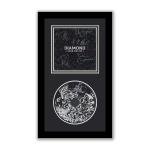 Def Leppard Autographed Signed Framed CD Diamond Star Halos ACOA