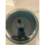 Raytech Tumble-Vibe 5 New Unused With Original Box Polishing Machine 23001 TV-5