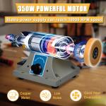 TM-2 Versatile Jewelry Polisher, Adjustable Speed Bench Buffer Grinder Polishing Buffing Machine with Accessory for Jewelry Metal Wood Dental Rock Jade DIY, 350W 110V