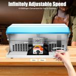 Jewelry Bench Polisher, 500W 110V 1/2 HP Benchtop Polishing Buffing Machine Adjustable Variable Speed Polishing Buffing Machine Buffer Grinder Dust Collector with Light for Polishing Aluminum, Chrome