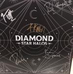 Def Leppard Autographed Diamond Star Halos  LP Signed 12x12