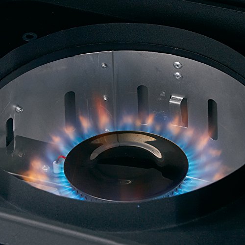 Broil King Vertical Propane Smoker 923614