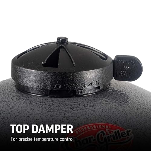 Portable Charcoal Grill by Char-Griller