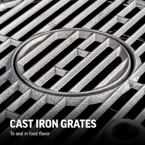 Portable Charcoal Grill by Char-Griller