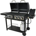 Dual Fuel Charcoal and Gas Grill Combo