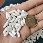 Ceramic Tumbling Media for Rock Polishers - 5 LBS