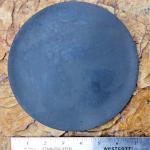 Lortone QT Gasket for Inner Lid Boot