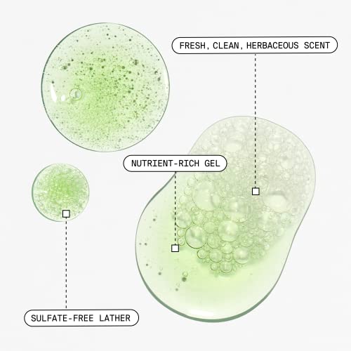 Superfood Green Tea Face Cleanser - Clean Beauty