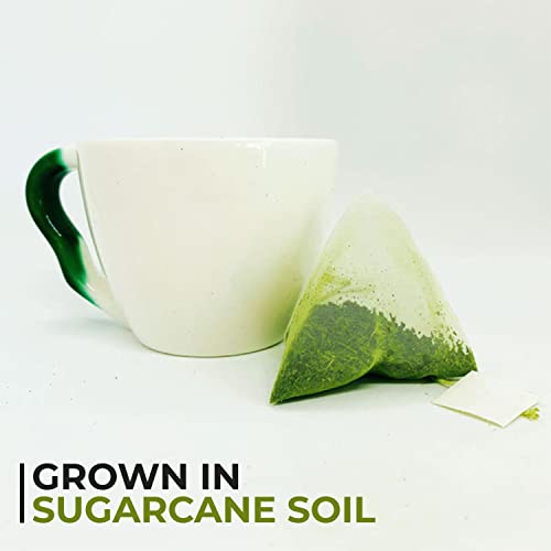 Benifuuki Japanese Green Tea - 30 x Ultimate Relaxation