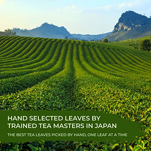 Gokuzyo Aracha - Highest-Grade Deep Steamed Green Tea