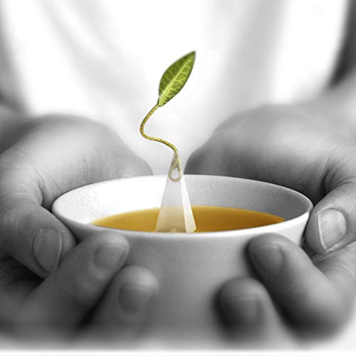 Green Tea Forté - Jasmine Green, 48 Infuser Bags