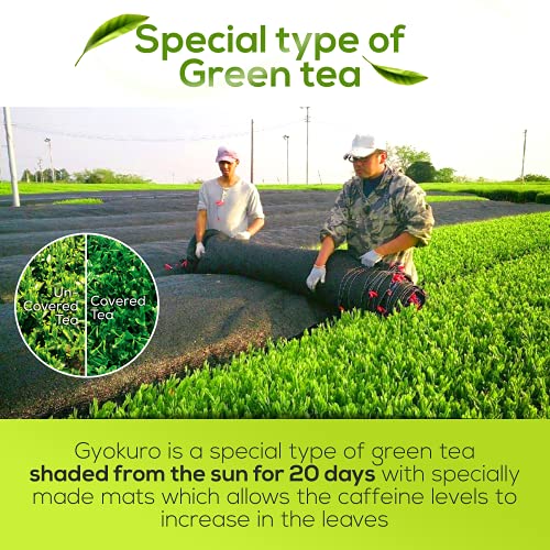 Gyokuro Japanese Green Tea - High Caffeine, Antioxidant-Rich (3.5oz)