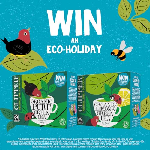 Organic Green & Lemon Tea - 80 Bags