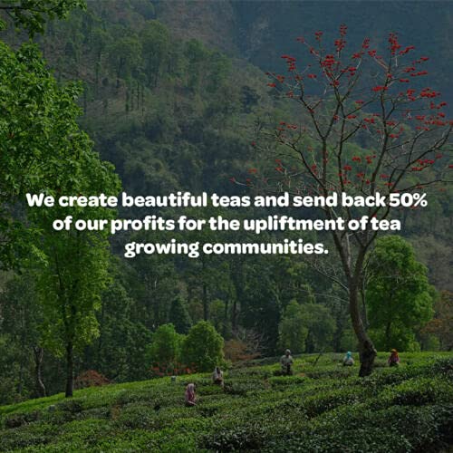 Jasmine Lily Tea Posy, 1.6kg - Large Pack