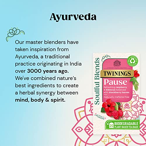 Twinings Soulful Blends Raspberry Hibiscus Tea - 20 Bags
