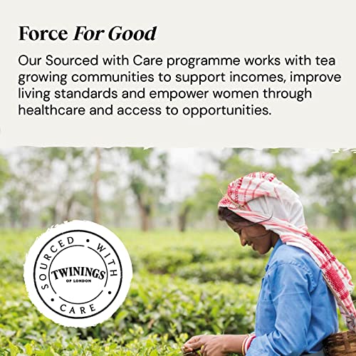 Twinings Soulful Blends Raspberry Hibiscus Tea - 20 Bags