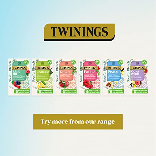 Twinings Soulful Blends Raspberry Hibiscus Tea - 20 Bags