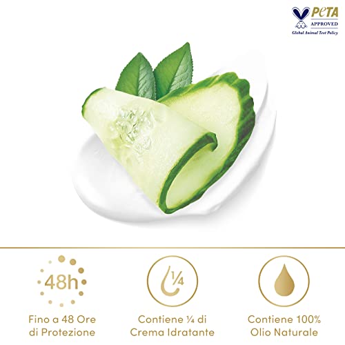 Pack of 6 Dove Cucumber Green Tea Deodorant Sticks