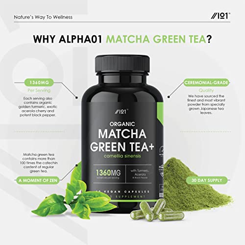 Organic Matcha Green Tea Extract - Turmeric Boosted