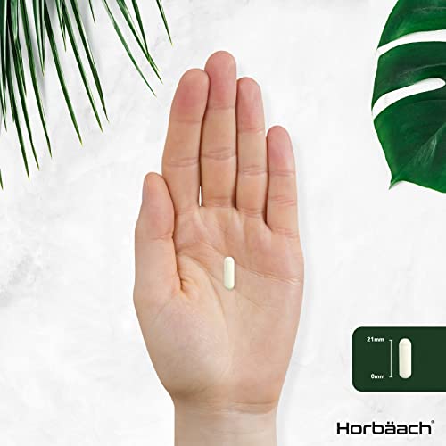 High Strength Green Tea Capsules | 12480mg | Vegan