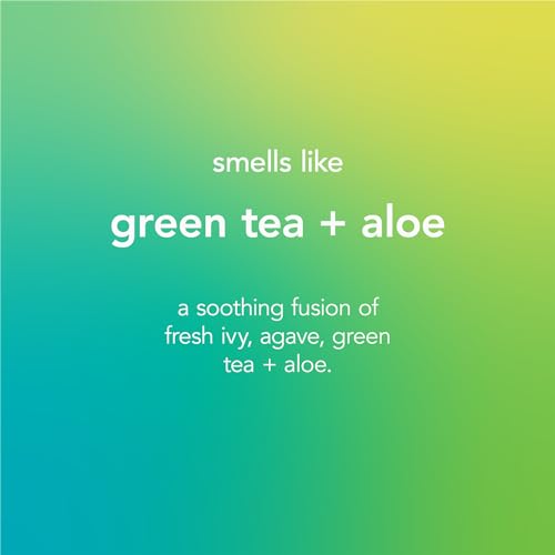 Green Tea & Aloe Foaming Hand Wash