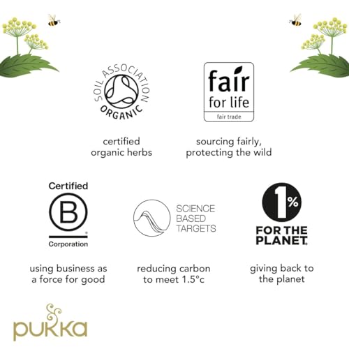 Organic Eco-Friendly Green Tea Collection | 30 Sachets