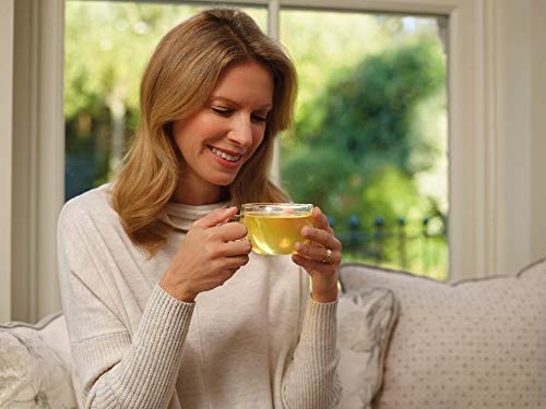 Tetley Matcha Green Tea – 20 Bags/Box (4 Boxes)