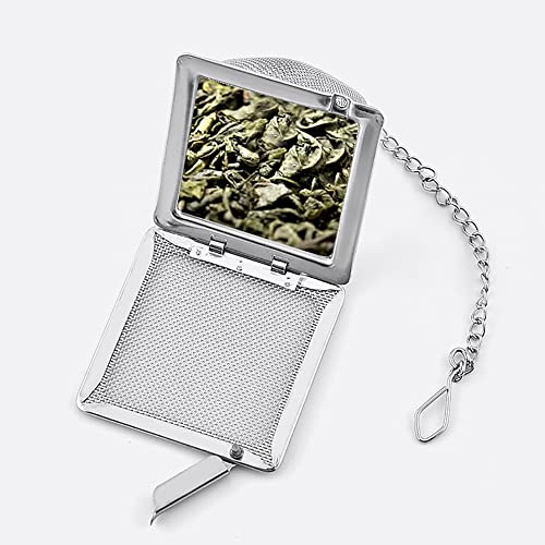 Stainless Steel Green Tea Infuser for Loose Leaf Tea