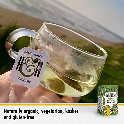 Heath & Heather Organic Green Tea - Manuka Honey (6 Packs, 120 Tea Bags)