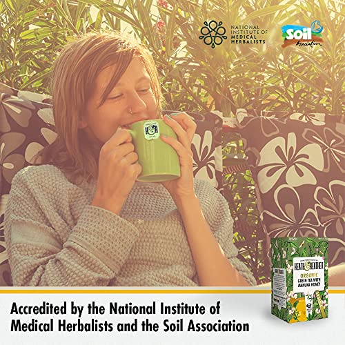 Heath & Heather Organic Green Tea - Manuka Honey (6 Packs, 120 Tea Bags)