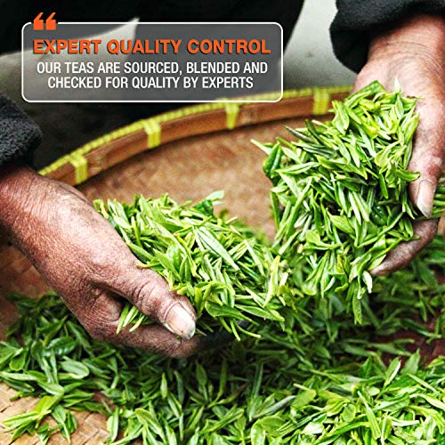 Tipson Organic Turmeric Peach Moringa Green Tea (25 Teabags)