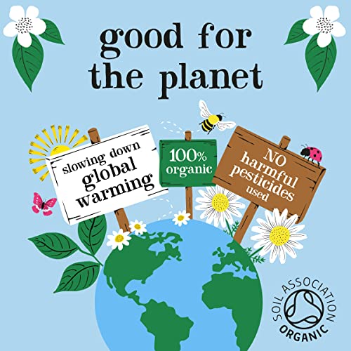 Organic Decaf Green Tea Bags | Pure & Eco-Conscious