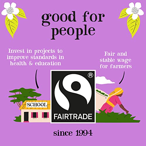 Organic Decaf Green Tea Bags | Pure & Eco-Conscious