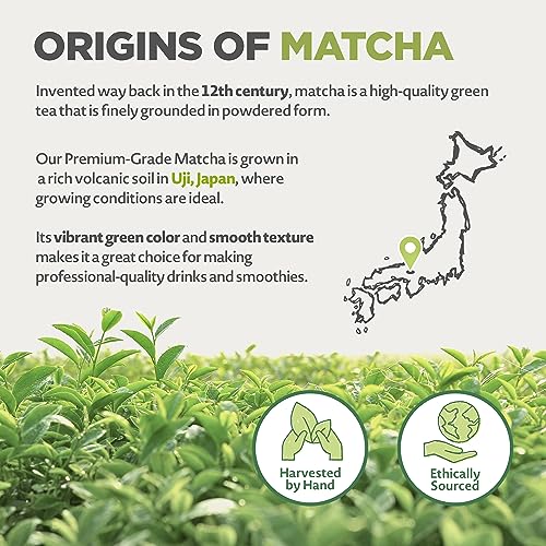 Organic Japanese Matcha Green Tea Powder - 100g