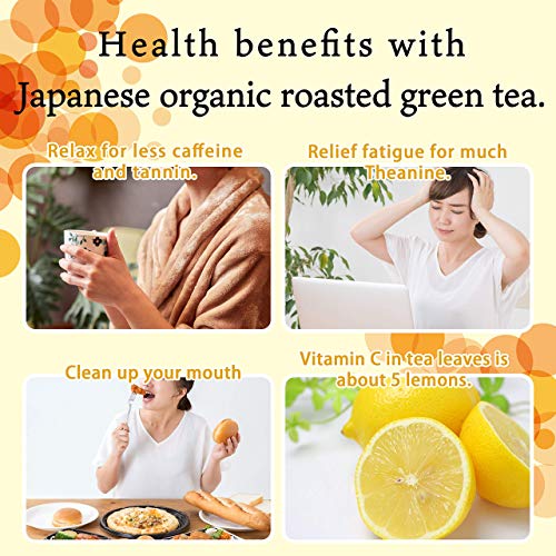 YAMASAN Hojicha: Low Caffeine Green Tea, 150g