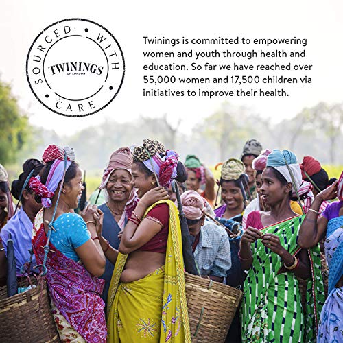 Twinings Gingerbread Green Tea, 80 Envelopes (4 packs)