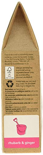 Rhubarb Ginger Tea Temples - teapigs