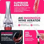 2-in-1 Professional Wine Aerator Pourer Spout