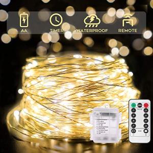 Christmas Fairy Lights with Remote - 66ft, Warm White